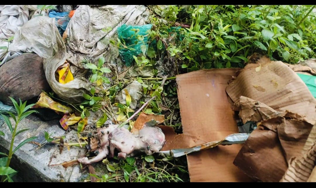 কালীগঞ্জ উপজেলা স্বাস্থ্য কমপ্লেক্সে কাটুন ভর্তি পড়ে আছে মানব ভ্রূণ