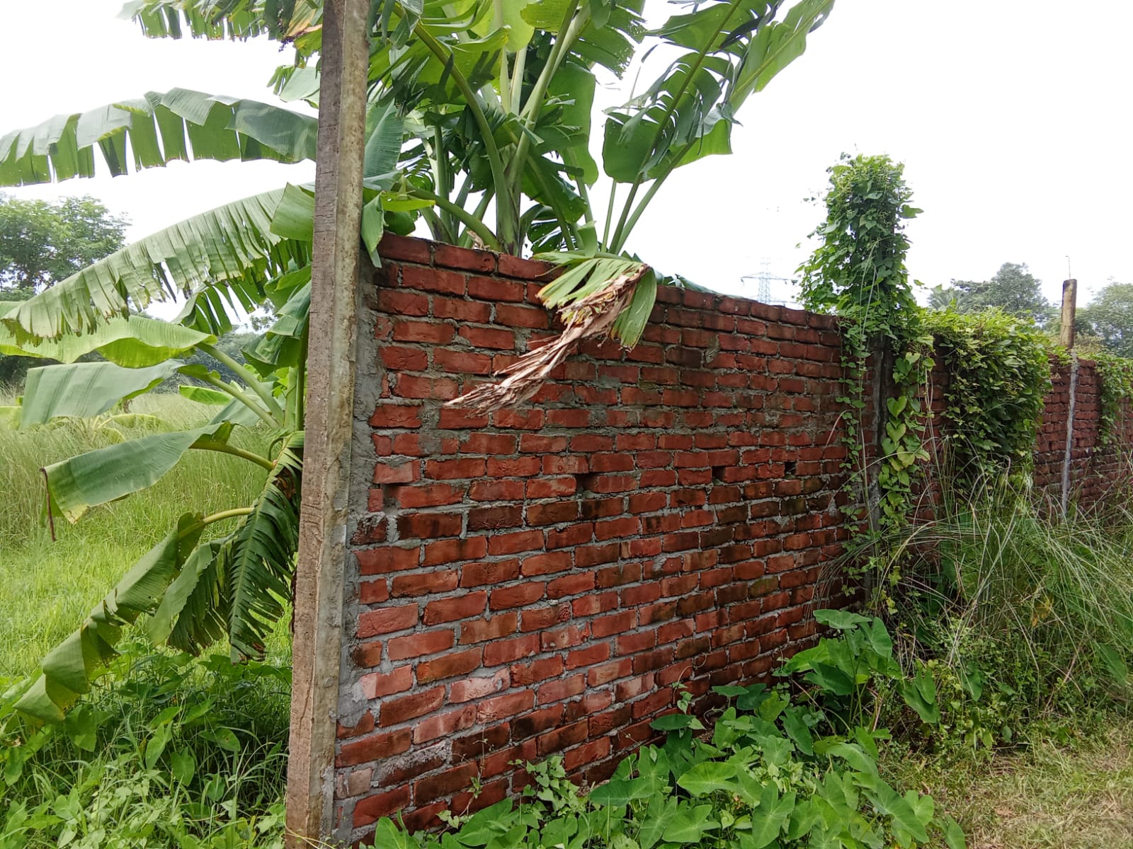 প্রশাসনের সু-দৃষ্টি কামনা গাজীপুরের পূবাইলে পরের সম্পত্তি দখলের পায়তারা একটি চক্রের