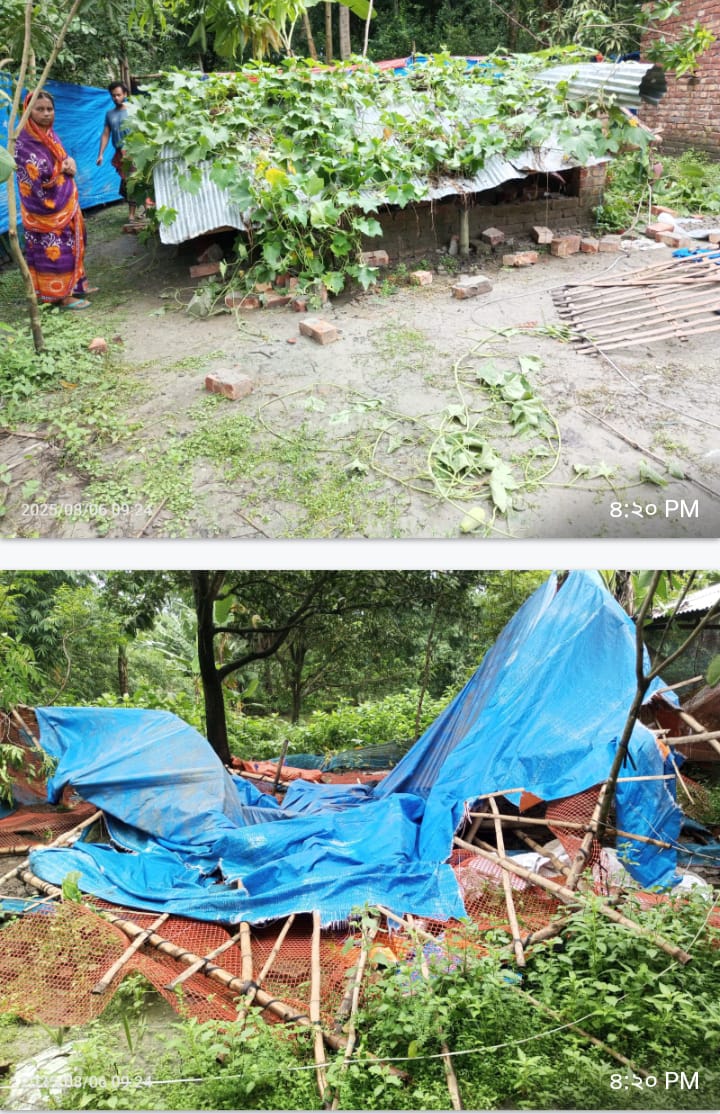 সাতক্ষীরার মাহমুদপুরে পোলট্রি খামারে হামলা, মুরগি লুট ও ভাঙচুরের অভিযোগ
