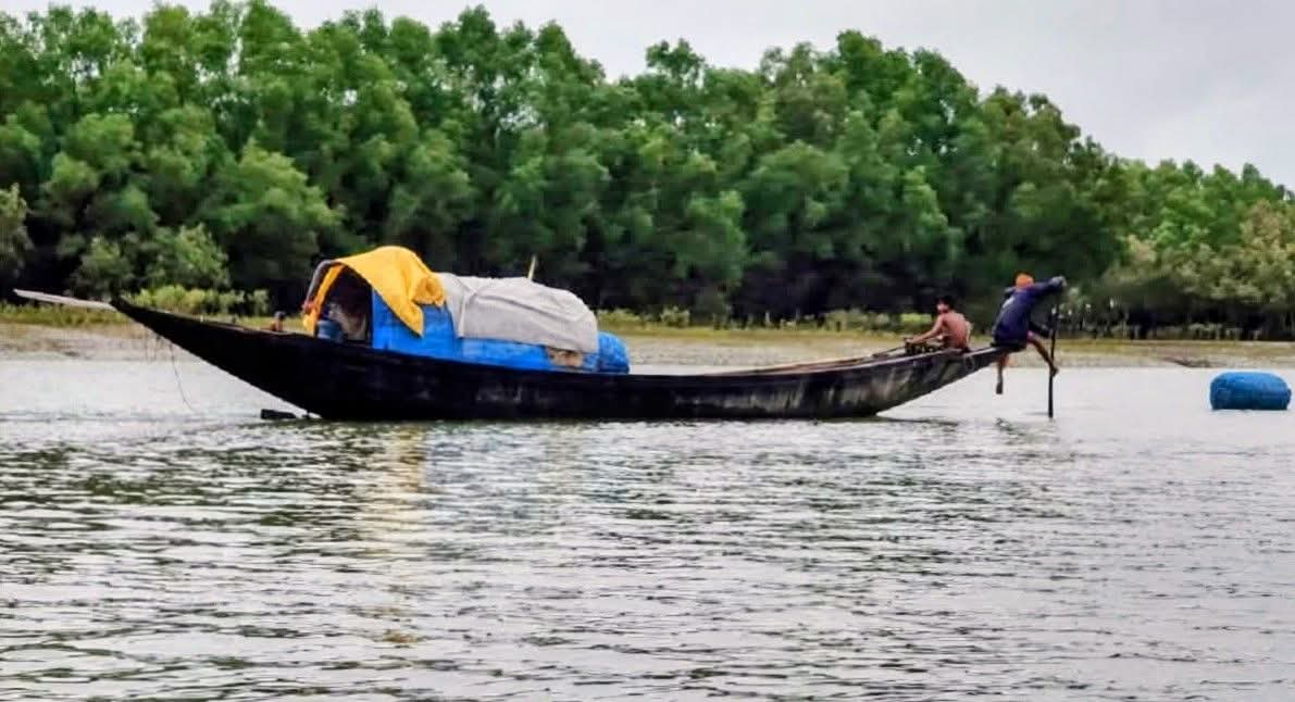 বন বিভাগ তথা মান্দারবাড়িয়া স্টেশনের বিরুদ্ধে লক্ষ লক্ষ টাকা উৎকোচ বাণিজ্যের অভিযোগ
